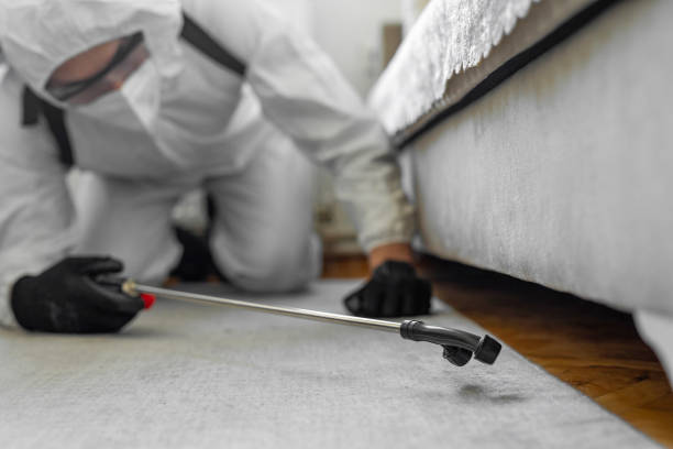 Professional Bed Bug Control technician working in Henrico County County, VA